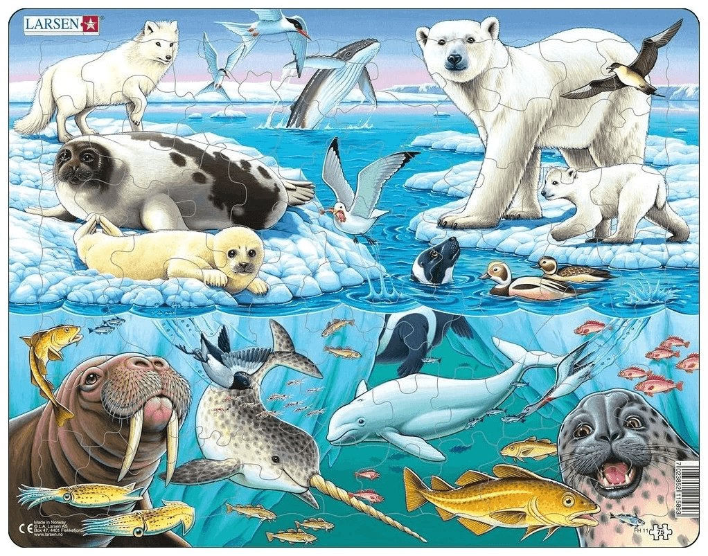 Пазл Larsen "Арктика", 75 деталей FH11