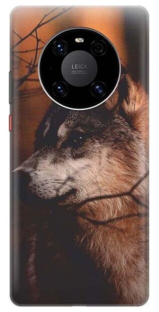 Чехол - накладка ArtColor для Huawei Mate 40 Pro с принтом "Красивый волк"
