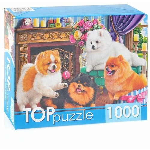 Пазл Toppuzzle «Игривые шпицы», 1000 элементов