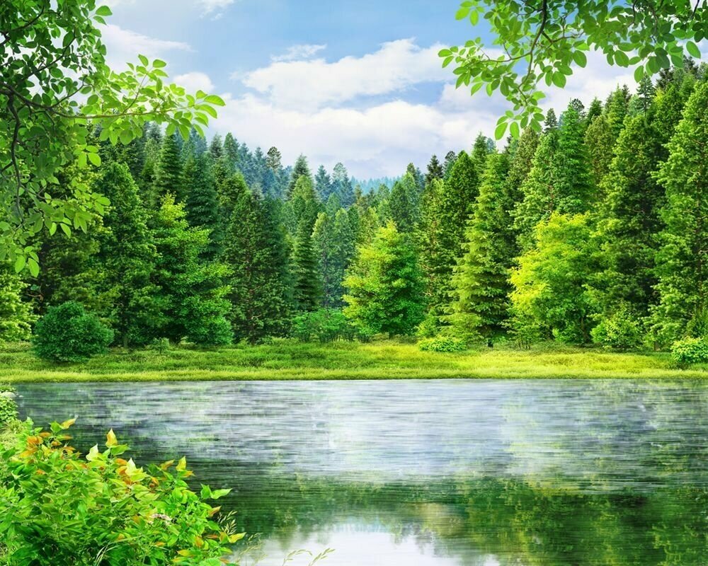 Моющиеся виниловые фотообои Таежный лес и озеро, 300х240 см