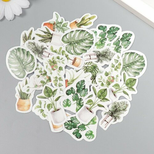 Наклейки для творчества Комнатные растения набор 45 шт 44х44х11 см 293₽