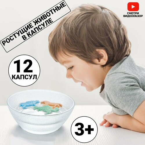 Игрушки растущие в воде, капсулы на листе.