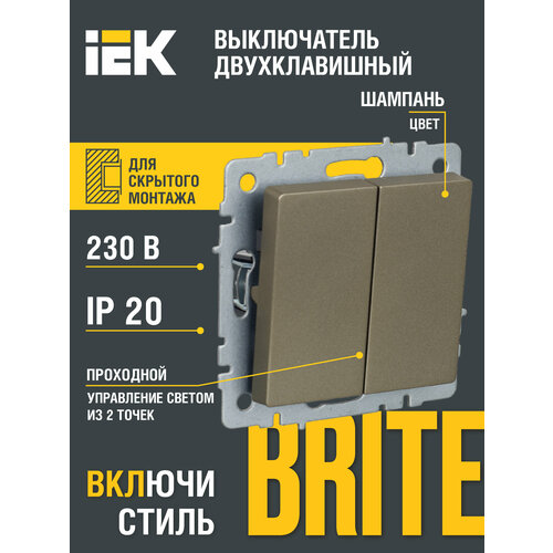 коричневый, золотистый, шампань