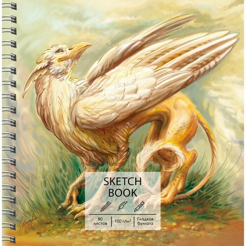 Paper Art Скетчбук, квадрат 195 х 195 мм, 80 листов, на гребне, 