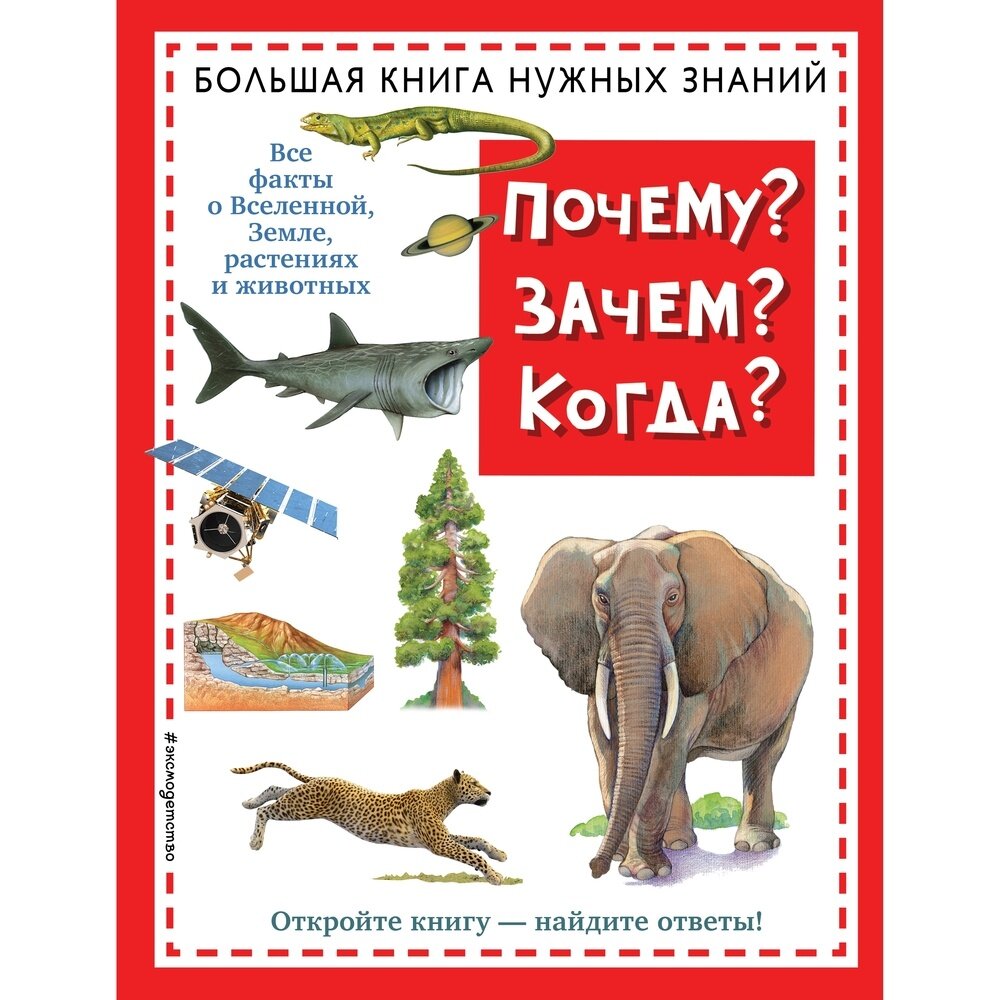 Почему? Зачем? Когда? Большая книга нужных знаний (нов.оф.) - фото №16