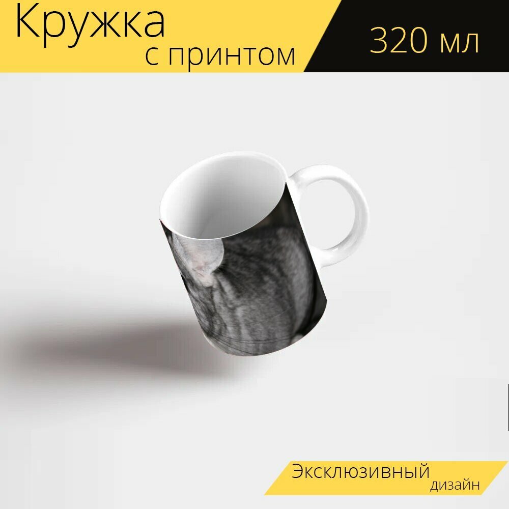 Кружка с рисунком шиншиллы — купить по низкой цене на Яндекс Маркете