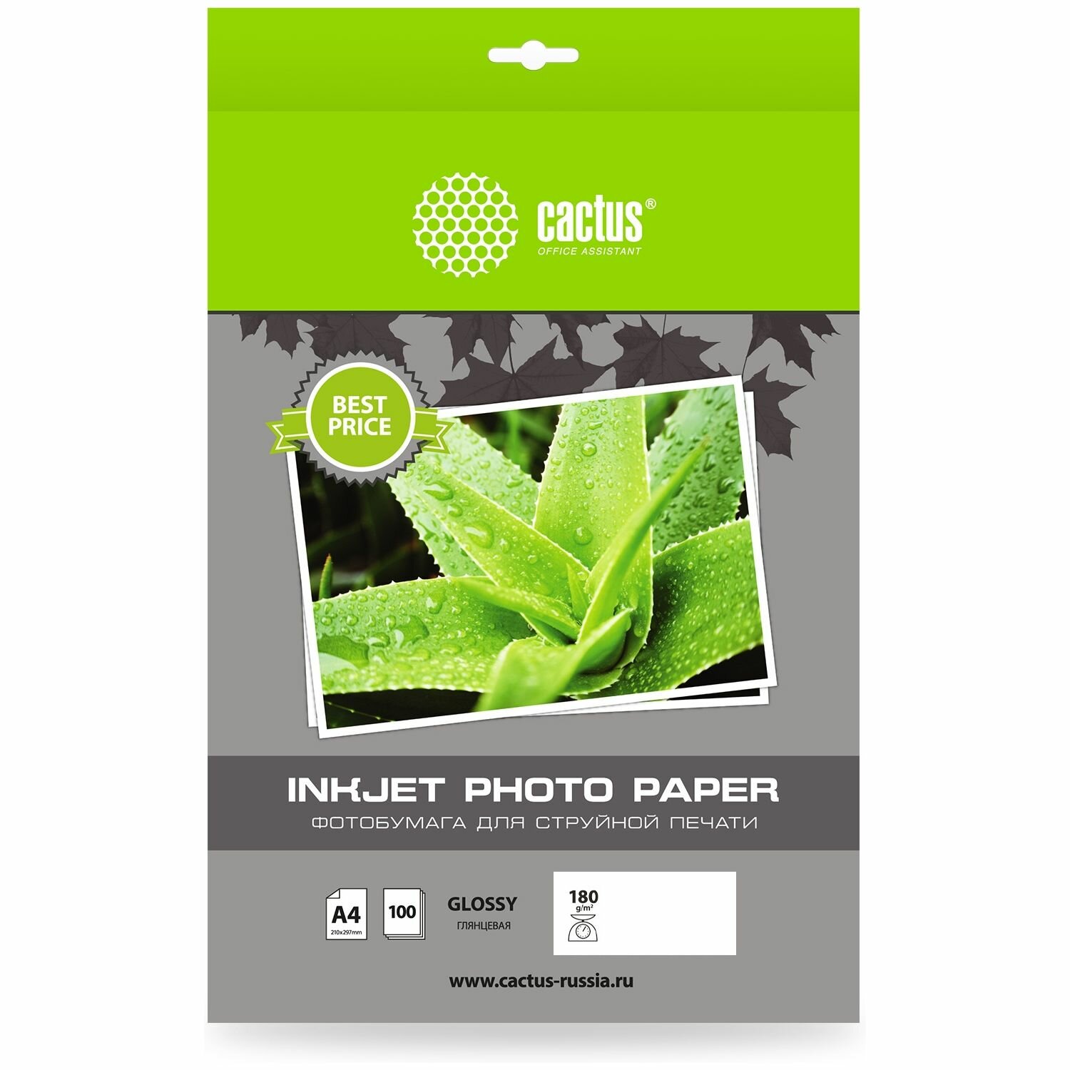 Фотобумага Cactus A4 глянцевая, 180г/м2, 100л, CS-GA4180100ED