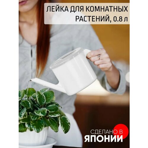 Лейка для комнатных растений 800 мл 872₽