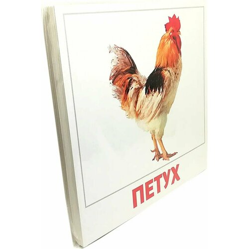 Обучающая игра для детей Карточки Домана Домашние животные