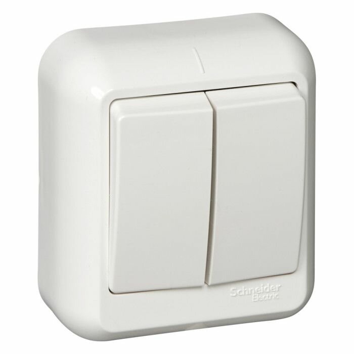 Выключатель 2-клавишный Schneider Electric прима, открытый монтаж, белый, A56-029I-B