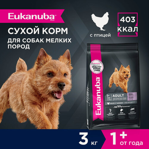 Изображение товара Сухой корм для собак Eukanuba Adult Small Breed для мелких пород , 3 кг