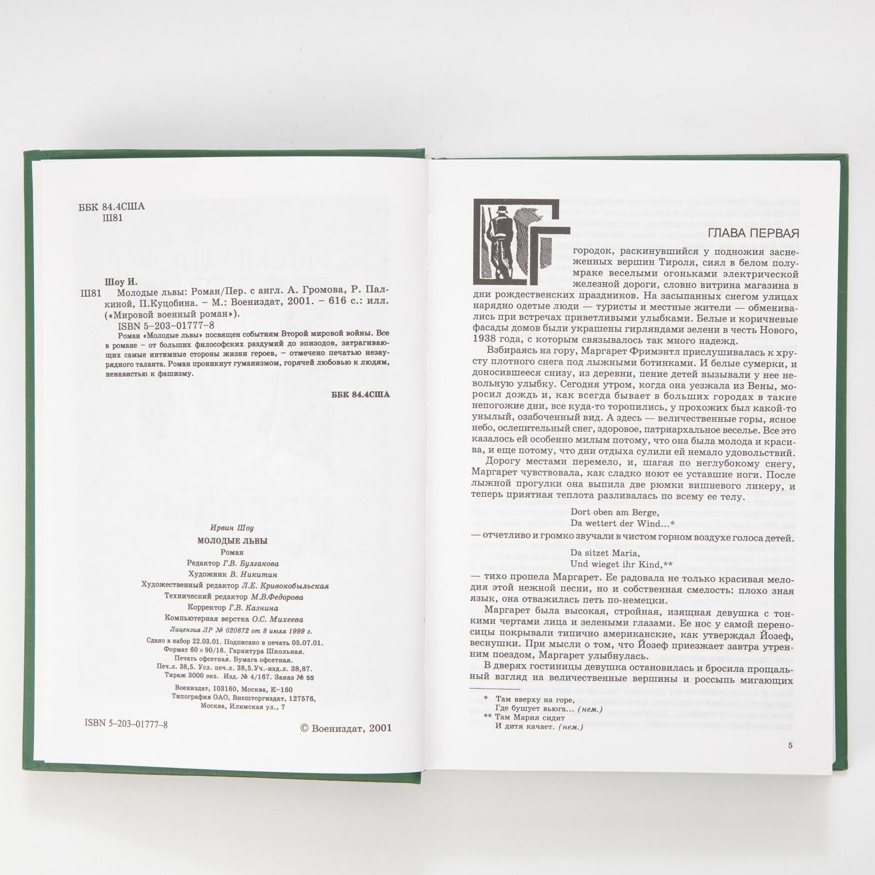 Молодые львы — фото 1