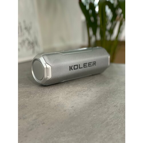 Колонка беспроводная настольная портативная серебристая 126000₽