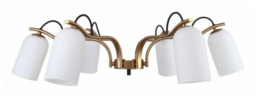 фото Люстра Favourite Grover 2668-6P, E27