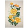 Жёлтые хризантемы - изображение
