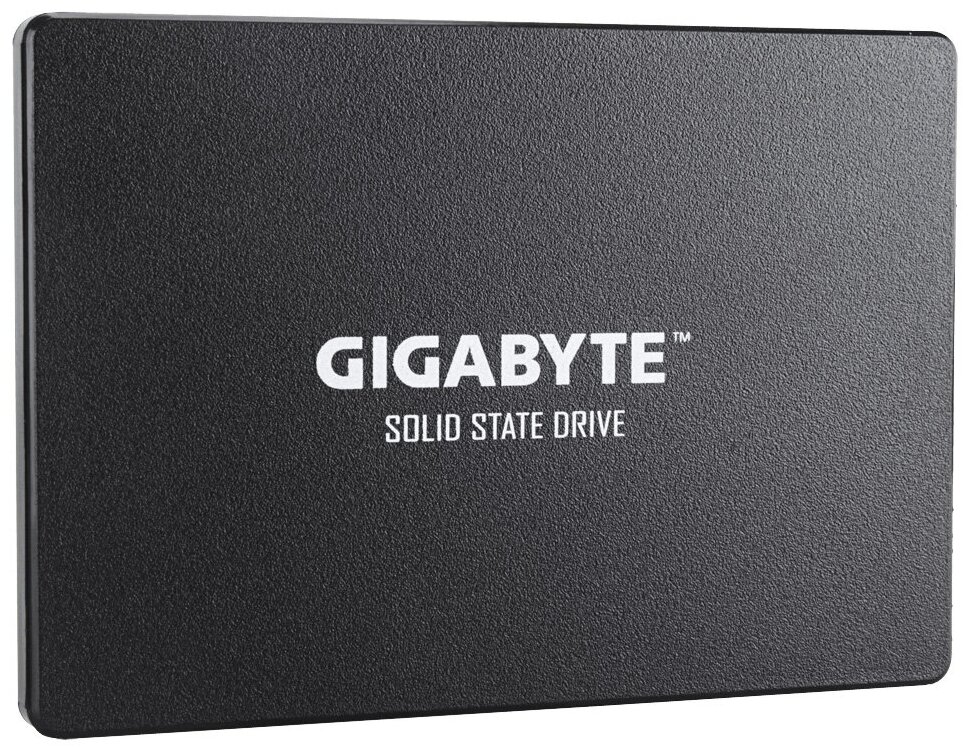 Твердотельный накопитель GIGABYTE 1 ТБ SATA GP-GSTFS31100TNTD