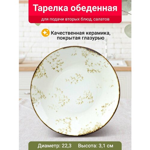 Тарелка обеденная Velton Park (керамика, 22,3х3,1 см, золотистый)