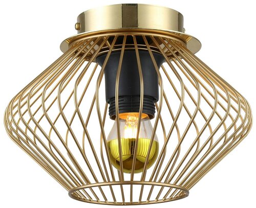 Светильник Lussole Brooks LSP-8248, E27, 40 Вт, кол-во ламп: 1 шт., цвет: золотой