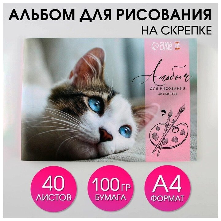 ArtFox STUDY Альбом для рисования 40 листов А4 на скрепке «1 сентября: Котёнок» обложка 160 г/м2, бумага 100 г/м2.