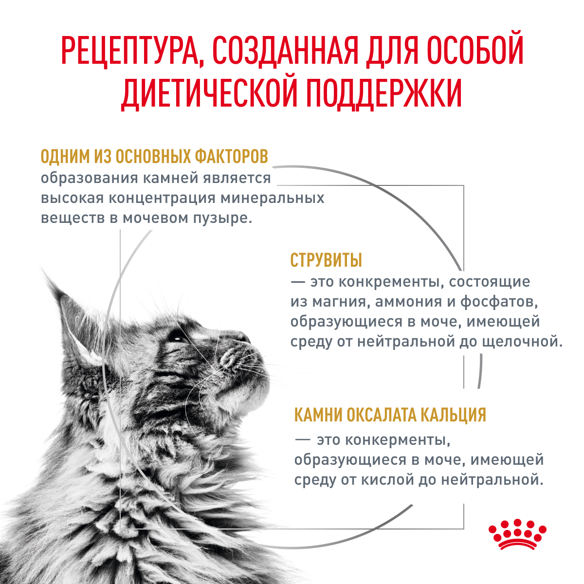 Корм для кошек ROYAL CANIN - фото №3