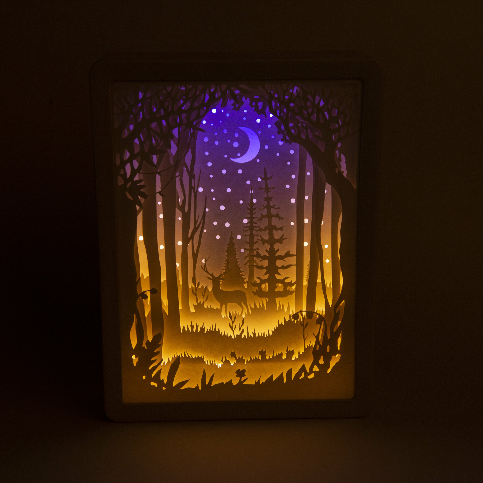 Светильник ночник / настольная лампа рамка Dream Forest - фотография № 1