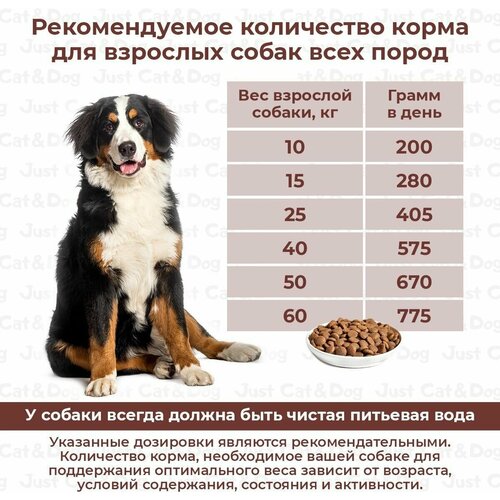 Сухой корм для взрослых собак Дилли, с индейкой и рисом, 3,7 кг