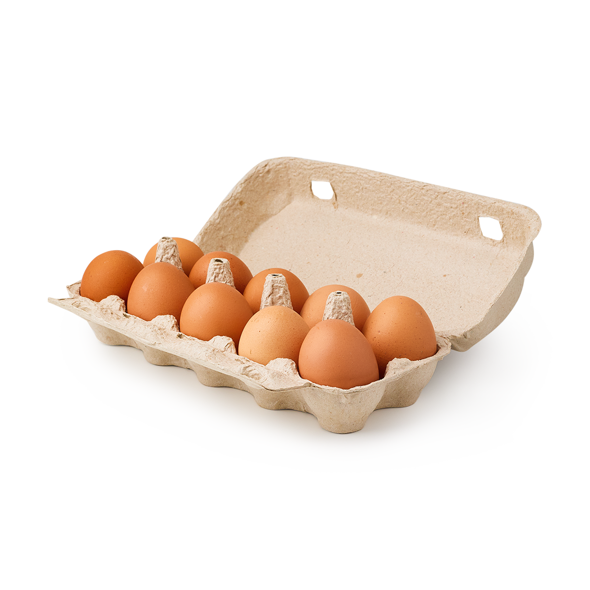 Яйца куриные, отборной категории со, 10 штук в упаковке, 620 грамм