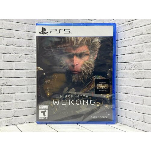 Игра на диске Black Myth Wukong PS5 Русские субтитры
