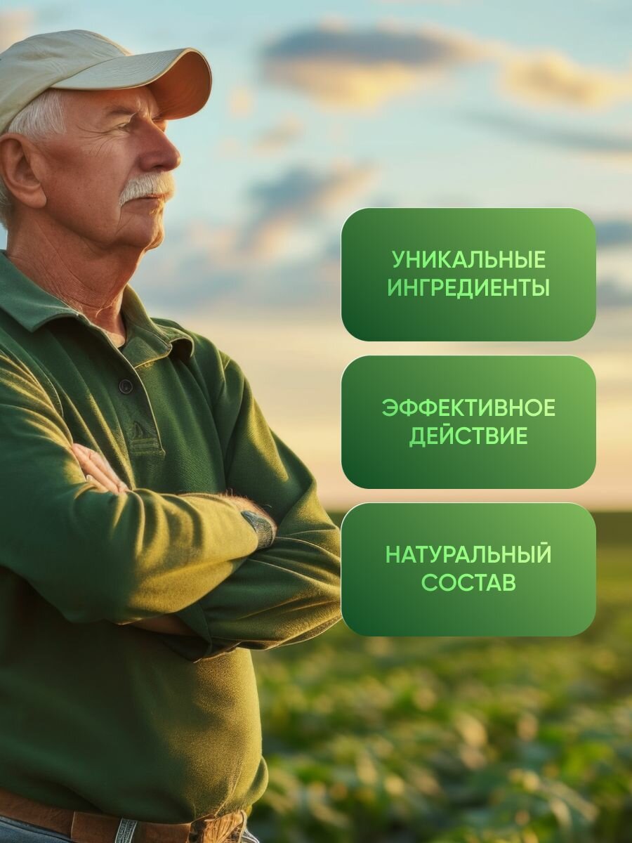 Изображение Инсулайт Иммуно противовирусный иммуномодулятор, шипучий