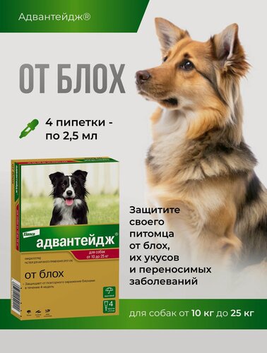 Изображение товара Адвантейдж для собак массой от 10 до 25 кг, 4 пип