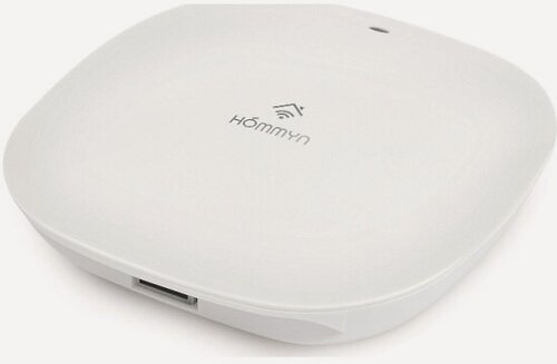 Изображение товара Блок управления (шлюз) Hommyn Hub HH-01