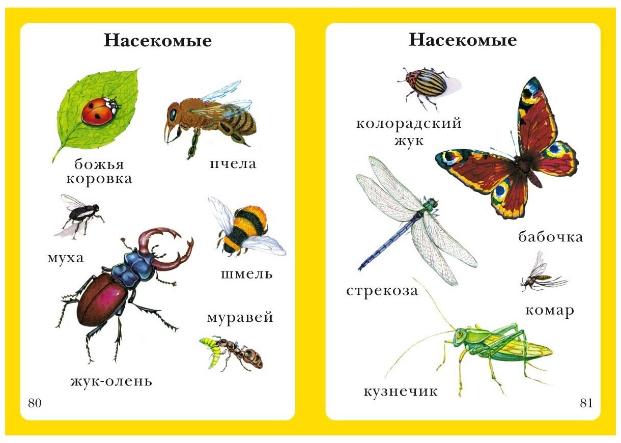 Моя первая книга. Самая любимая. От 6 месяцев до 3 лет - фото №8