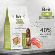 Сухой корм BRIT CARE супер-премиум с лососем и индейкой для взрослых собак средних пород "Dog Adult M Healthy Skin&Shiny Coat" 1,5 кг