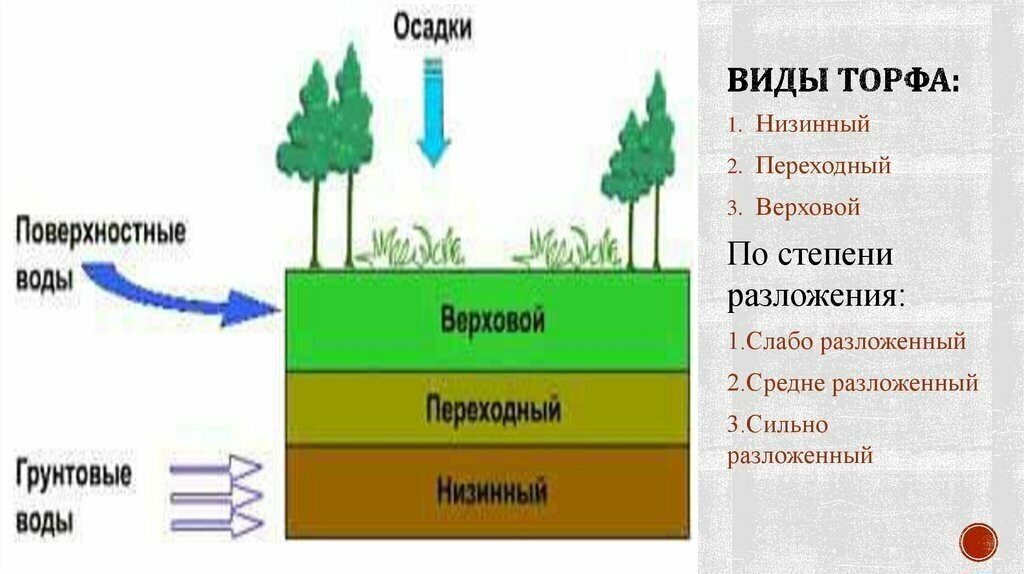 Торф верховой сфагновый нейтрализованный Fertile Land 5 л. - фотография № 4