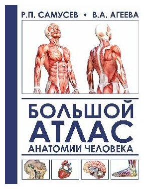 Самусев Р. П, Агеева В. А. "Большой атлас анатомии человека: СПО"