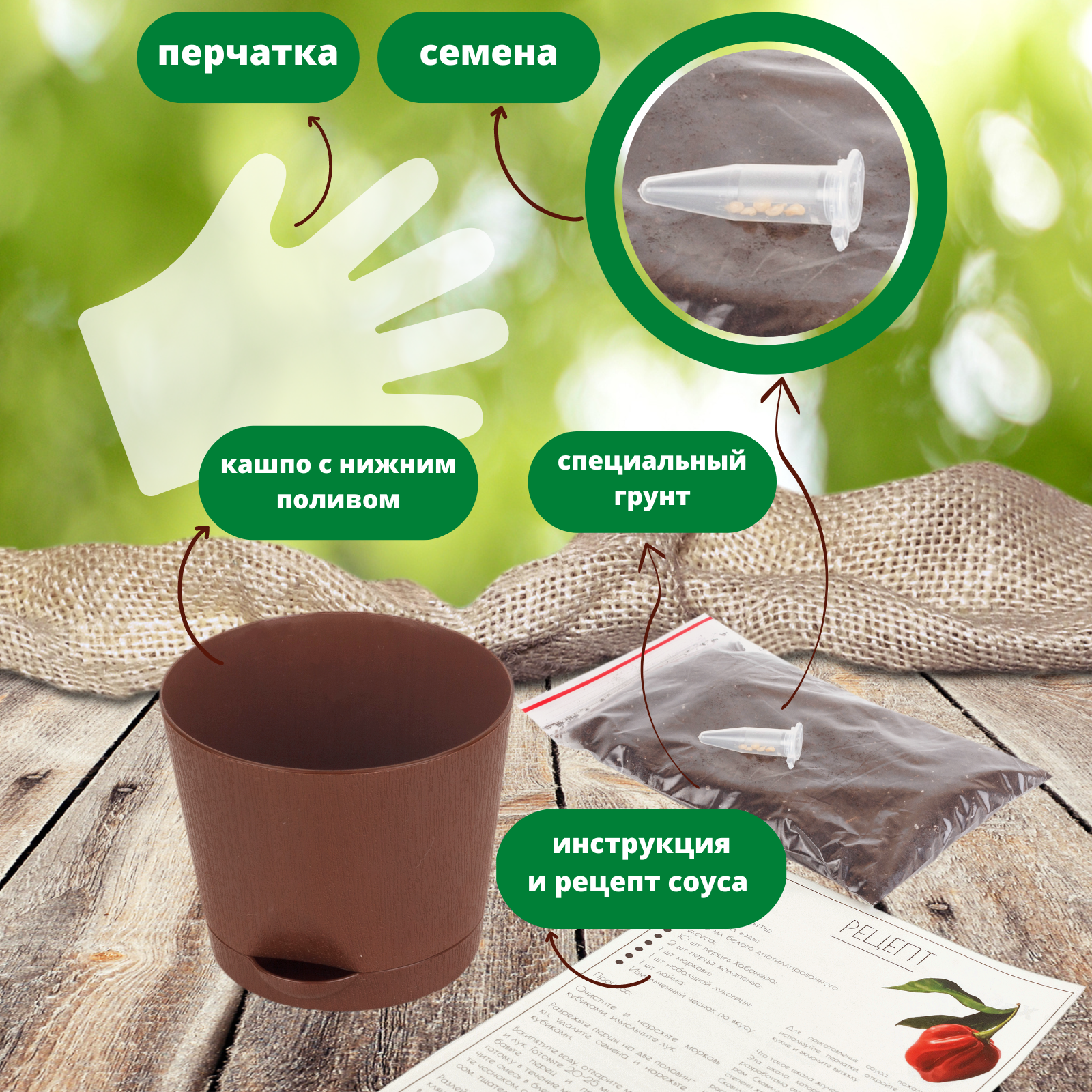 Набор Вырасти дерево - фото №3