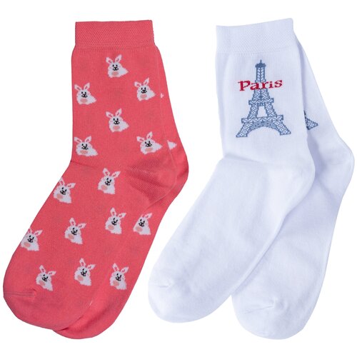 фото Комплект из 2 пар детских носков брестские (бчк) микс 33, размер 21-22