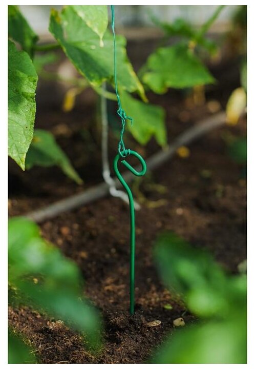 Колышек для подвязки растений, h = 30 см, d = 0,3 см, проволочный, зелёный, Greengo - фотография № 3