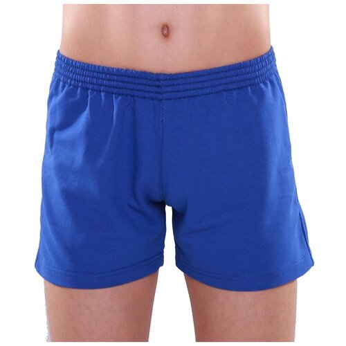 фото Шорты sapsan, размер 46, синий
