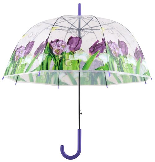 Зонт Мультидом, фиолетовый, зеленый