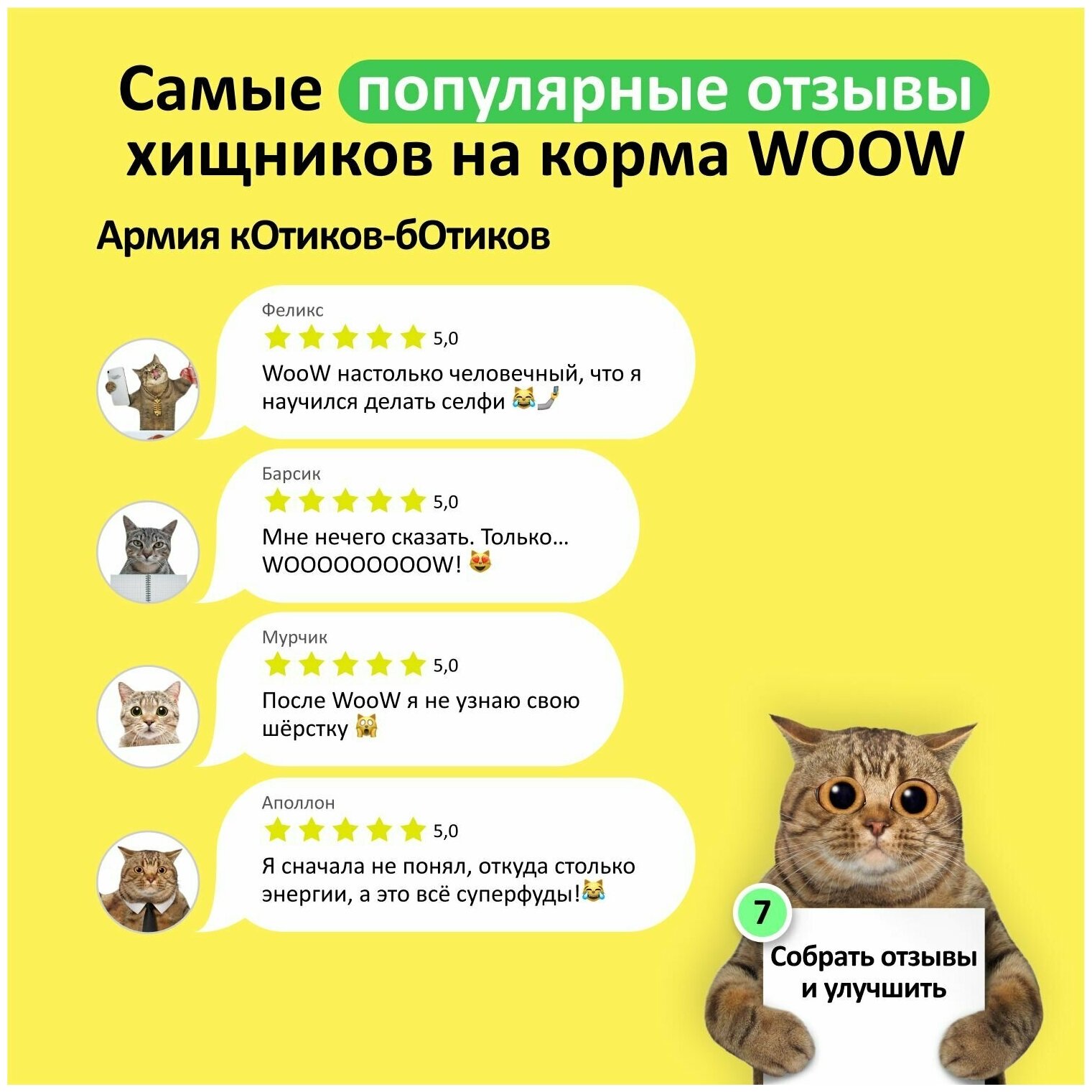 Корм для кошек WOOW филе в желе цыплёнок с креветкой 100гр (12 банок) - фотография № 5