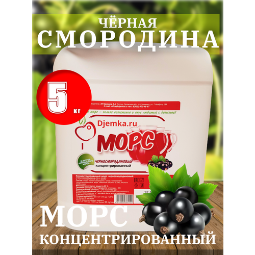 Морс концентрированный Черносмородиновый 5 кг. (Djemka)