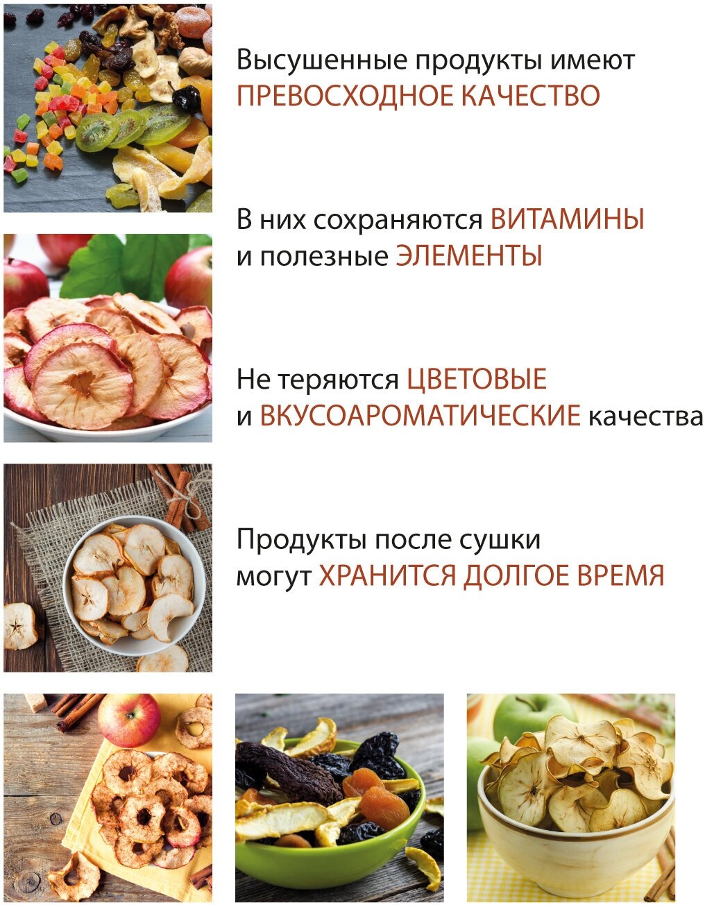 Сушилка для овощей и фруктов Supra - фото №13