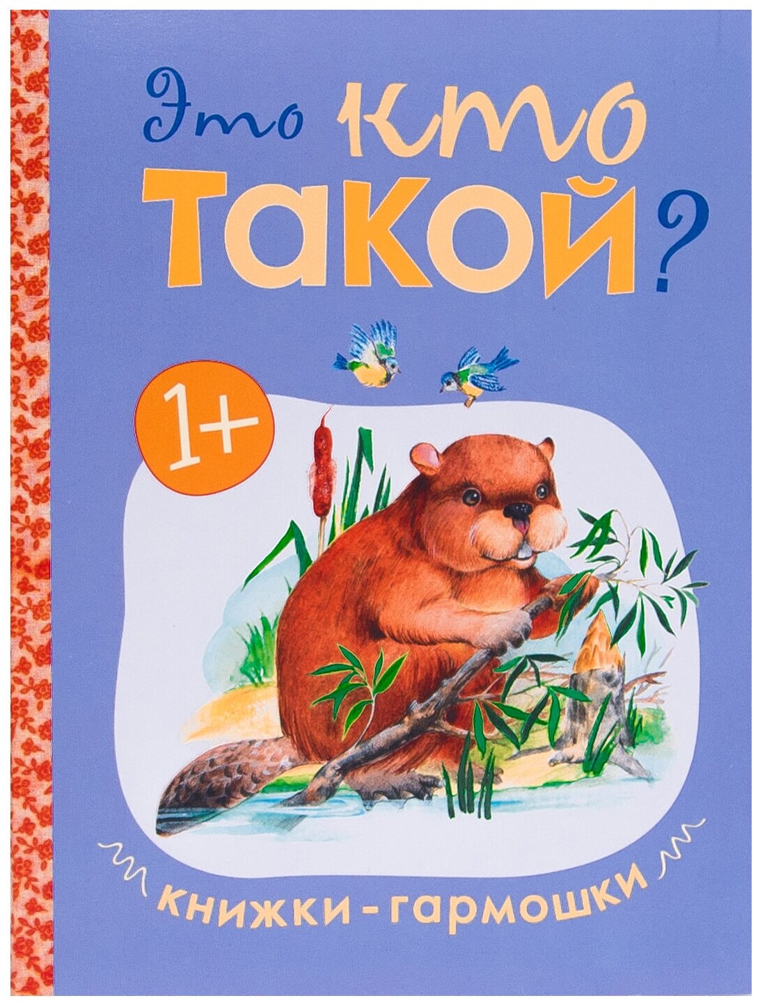 Дорофеева А. Книжки-гармошки. Это кто такой?. Книжки-гармошки