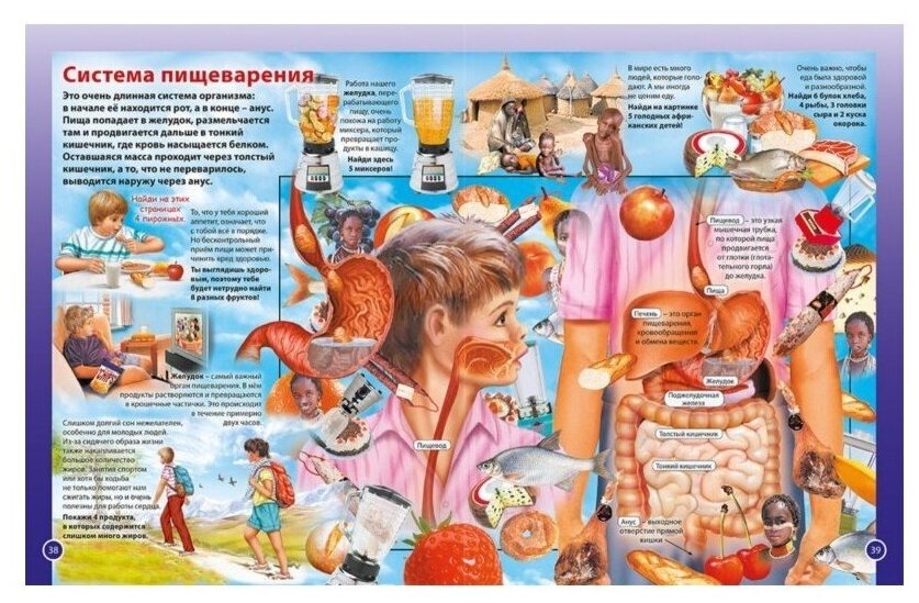 О теле человека для мальчиков и девочек. Детская энциклопедия - фото №8