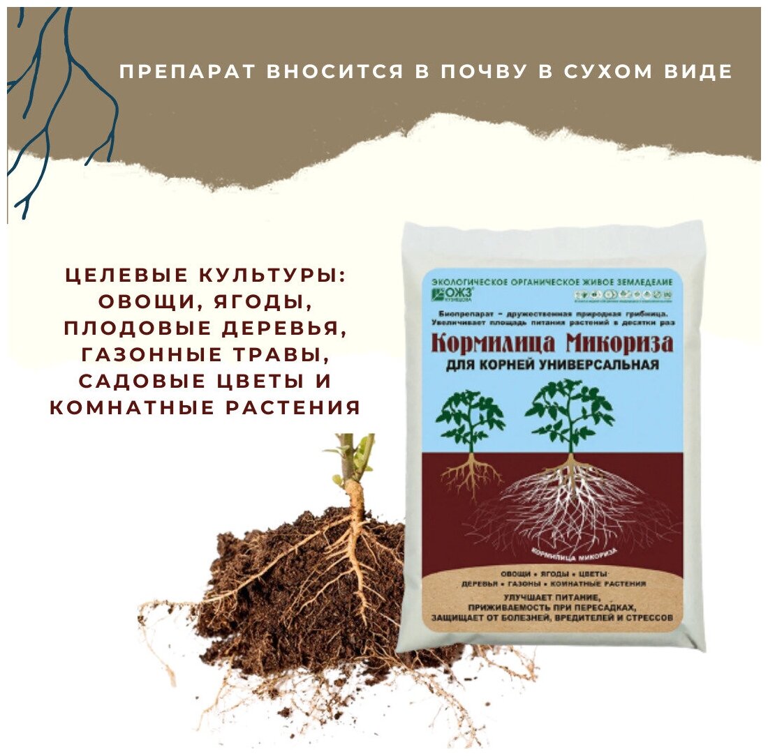 Удобрение для корней , Регулятор роста корней Кормилица Микориза Башкирская на 1 л (пакет 30 г )