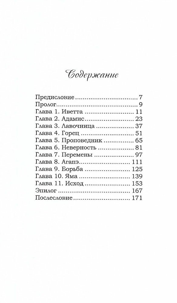 Свет за облаками (Кочергина Елена, Савельев Дмитрий Сергеевич) - фото №4