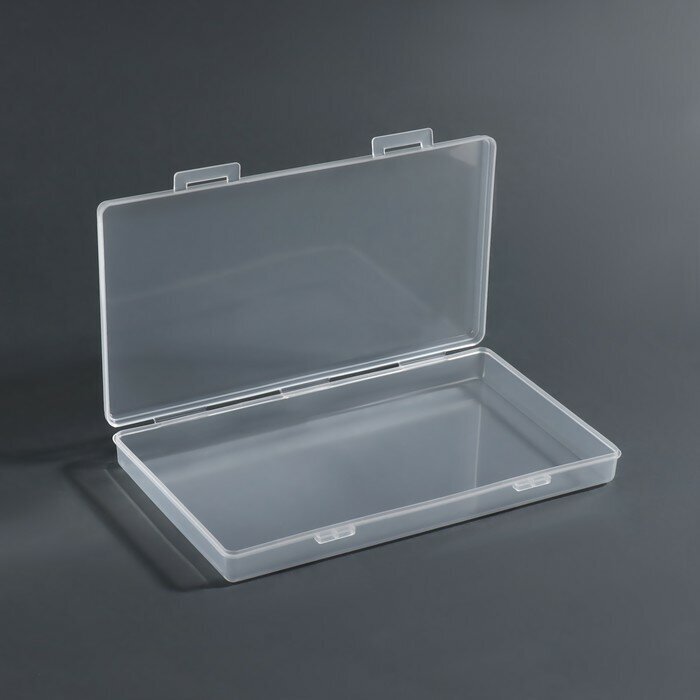 Органайзер для хранения, с крышкой, 19,5 × 10,5 × 2,2 см, цвет прозрачный - фотография № 1