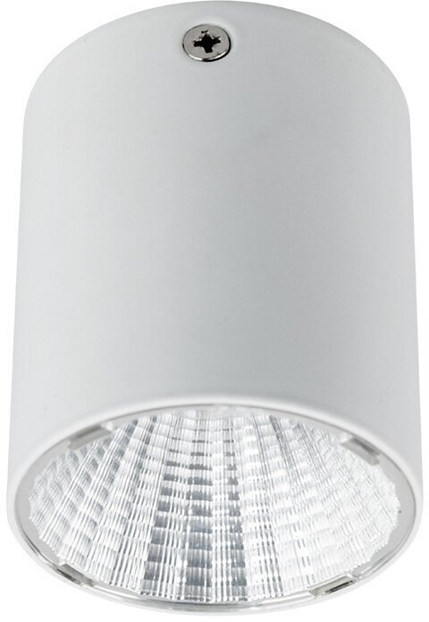 Потолочный светодиодный светильник REXANT для накладного монтажа или подвеса, белый, 15Вт