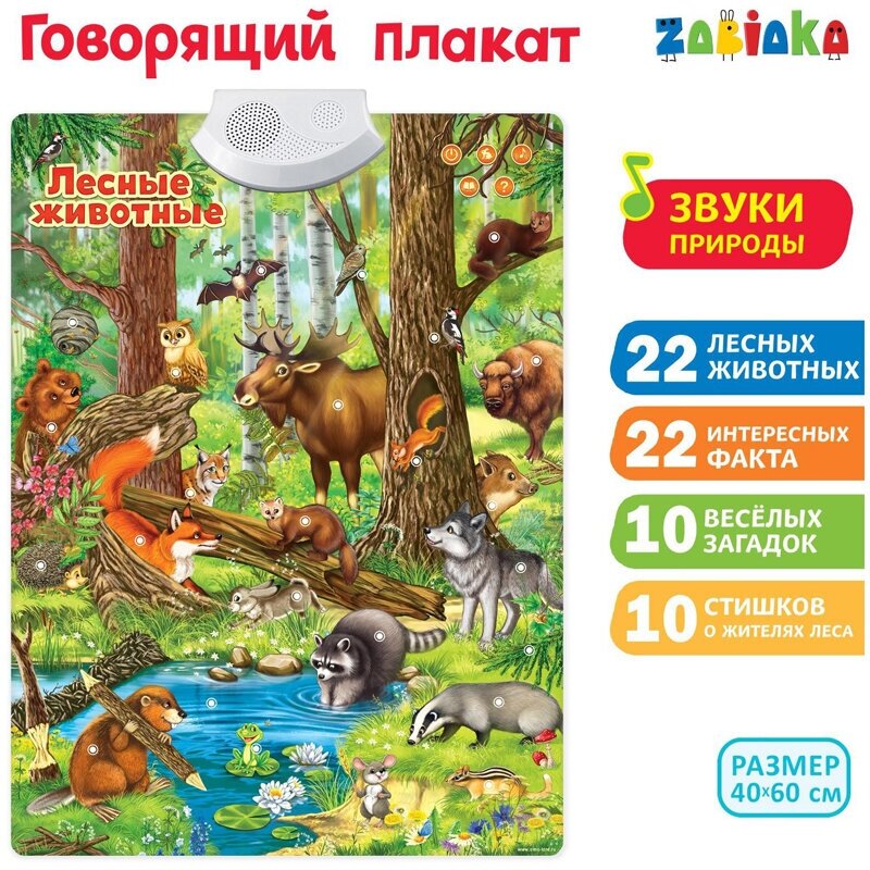Говорящий плакат ZABIAKA "Лесные животные", картонная коробка 348390